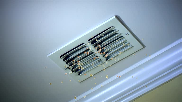 Best Ventilation Cleaning Services  in St Marys, WV